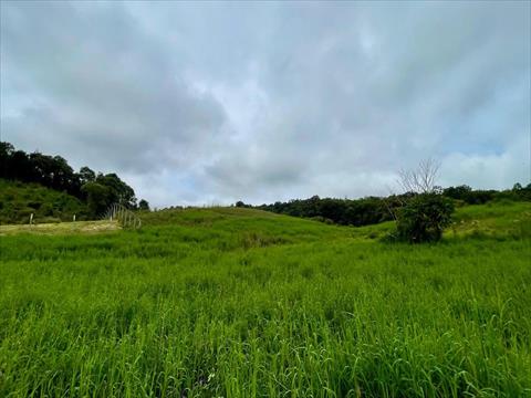 Terreno para venda no Poco Negro em Colombo com 6.191,37m² por R$ 150.000,00