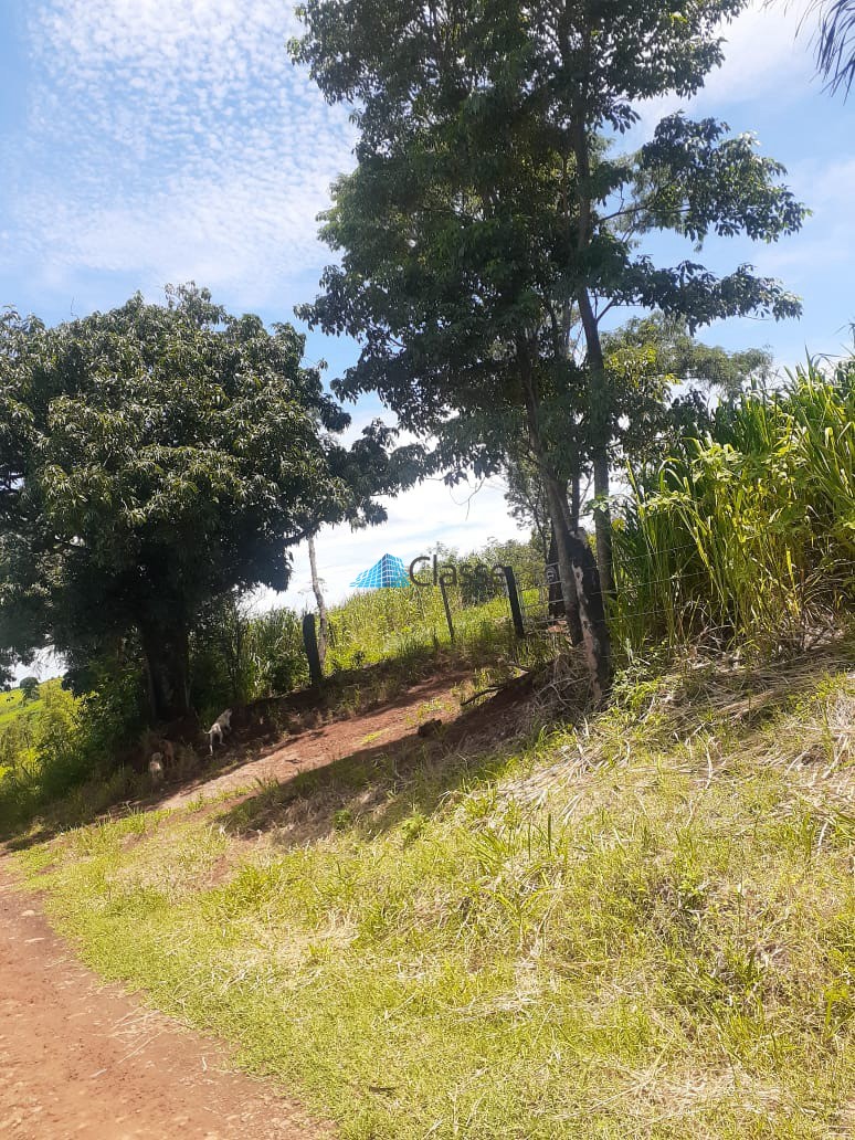 Terreno · 22.300 m² · Jardim Boa Vista, Mandaguari — foto 1