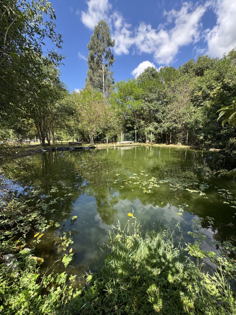 Chácara para venda no Jardim Carvalho em Ponta Grossa com 39.582,5m² por R$ 4.950.000,00
