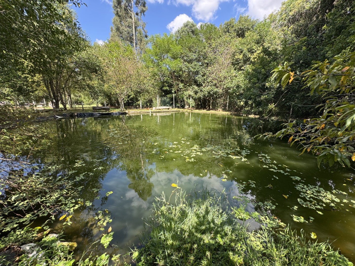 Chácara para venda no Jardim Carvalho em Ponta Grossa com 39.582,5m² por R$ 4.950.000,00