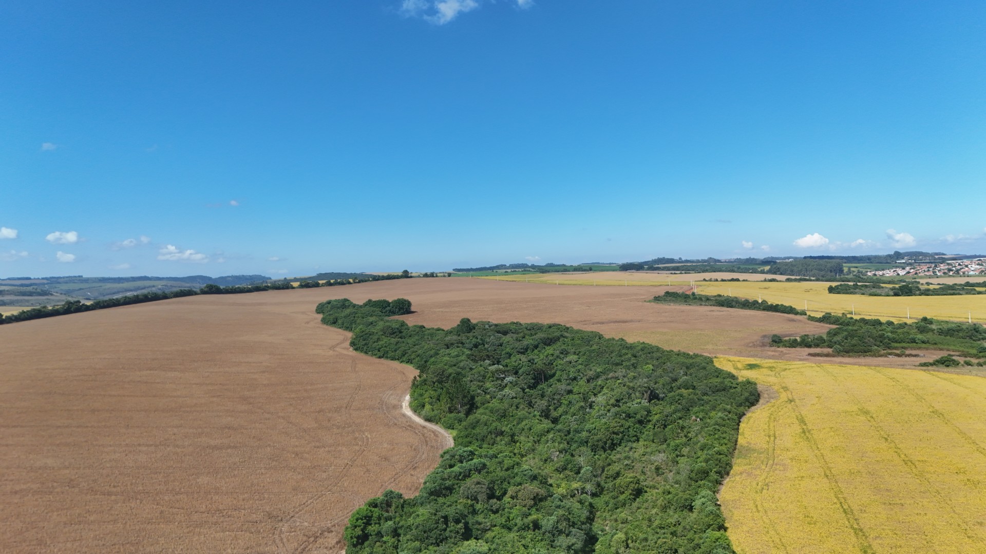 dji_fly_20260325_150308_0098_1774467981188_photo.JPG