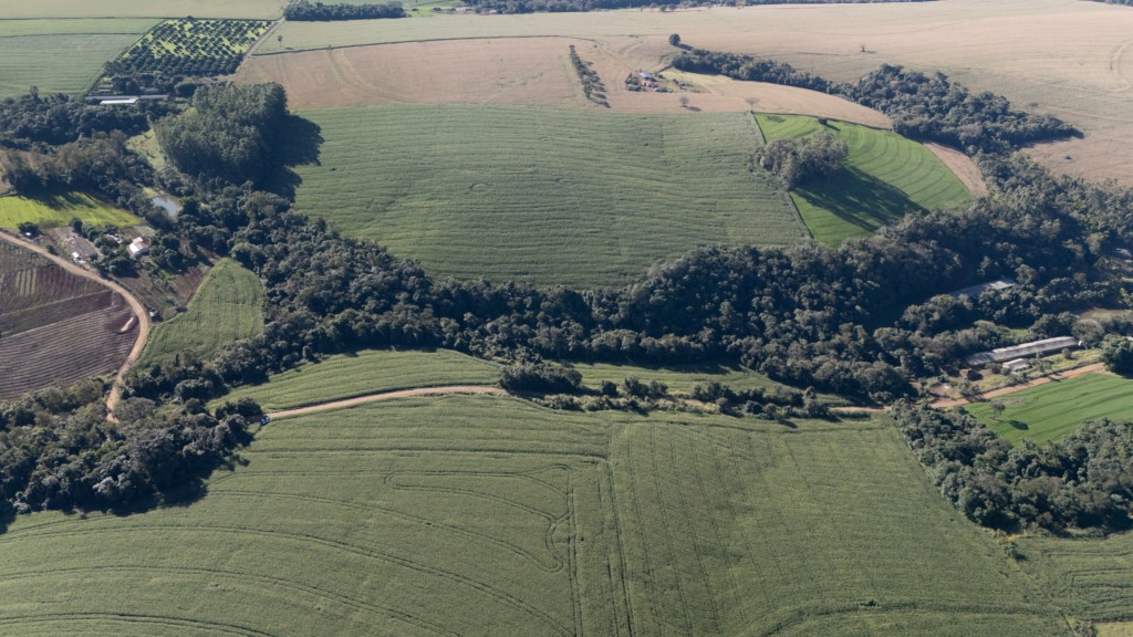 Área Rural para venda no Correia de Freitas em Apucarana com 363.000m² por R$ 5.250.000,00