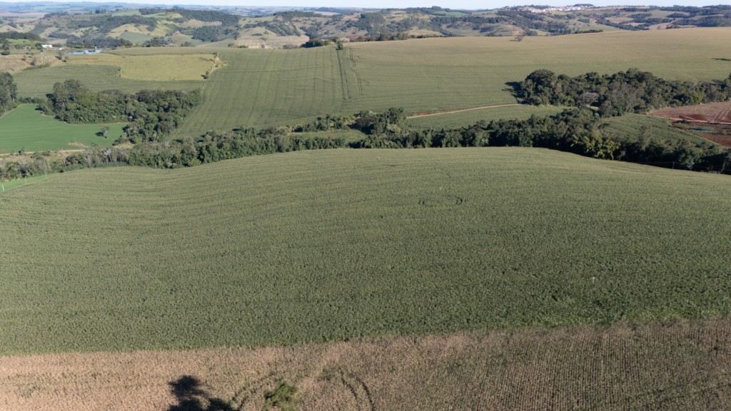 Área Rural para venda no Correia de Freitas em Apucarana com 363.000m² por R$ 5.250.000,00