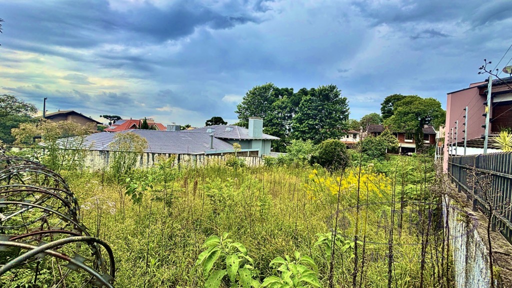 Terreno para venda no Vista Alegre em Curitiba com 800m² por R$ 950.000,00