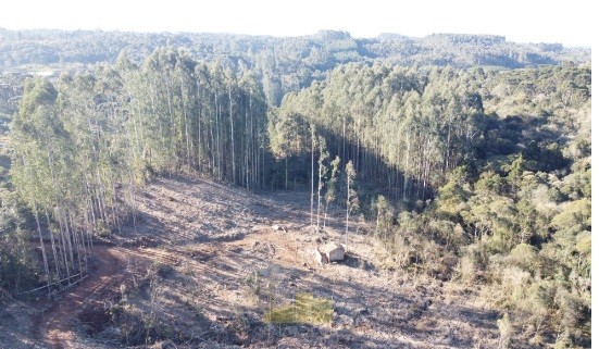 Terreno para venda no Fazenda Santo Antonio do Iratim em Bituruna com 0m² por R$ 760.000,00