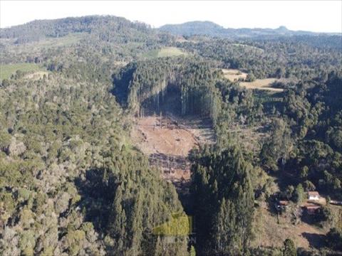 Terreno para venda no Fazenda Santo Antonio do Iratim em Bituruna com 0m² por R$ 760.000,00