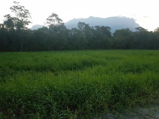 Terreno para venda no Zona Rural em Morretes com 3.192m² por R$ 150.000,00