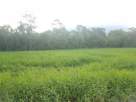 Terreno para venda no Zona Rural em Morretes com 3.027m² por R$ 120.000,00