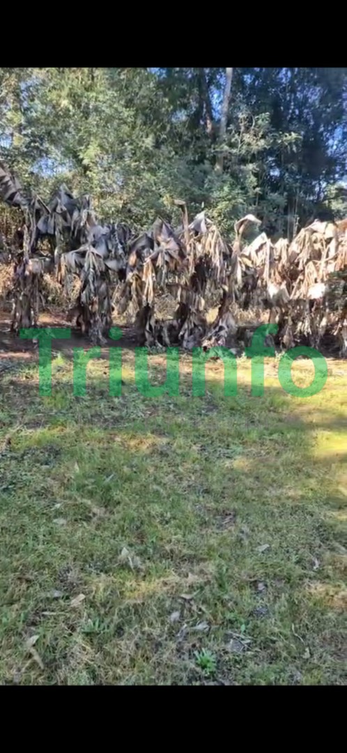 Terreno para venda no Aguas Claras em Campo Largo com 363m² por R$ 120.000,00