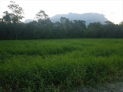Terreno para venda no Zona Rural em Morretes com 3.027m² por R$ 120.000,00