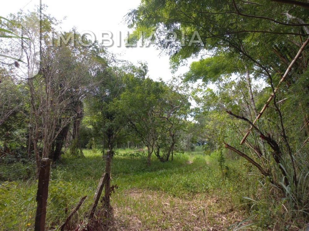 Chácara para venda no Ratones em Florianopolis com 97.500m² por R$ 4.000.000,00