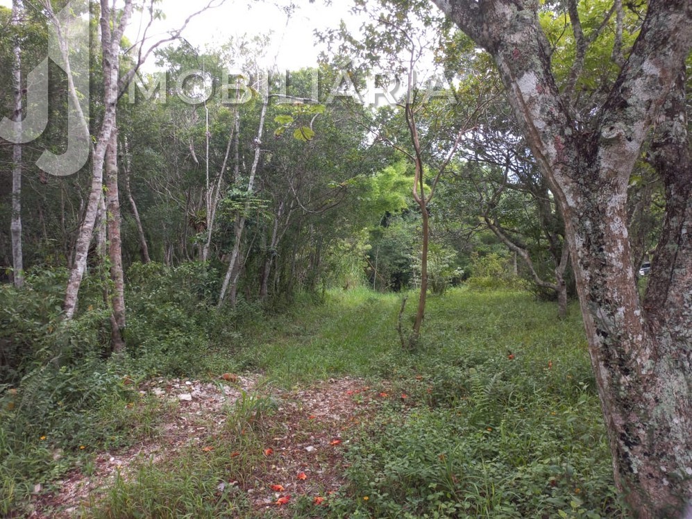 Chácara para venda no Ratones em Florianopolis com 97.500m² por R$ 4.000.000,00