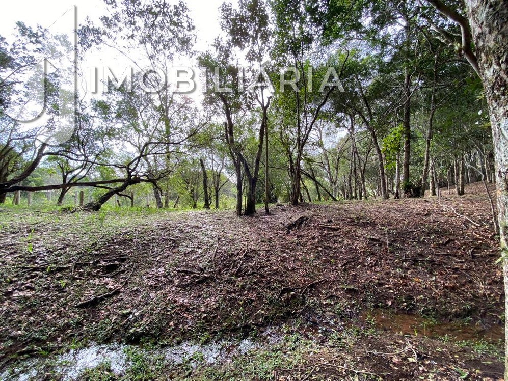 Chácara para venda no Ratones em Florianopolis com 109.843,5m² por R$ 3.700.000,00