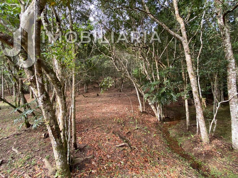 Chácara para venda no Ratones em Florianopolis com 109.843,5m² por R$ 3.700.000,00