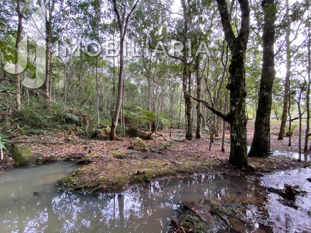 Chácara para venda no Ratones em Florianopolis com 109.843,5m² por R$ 3.700.000,00