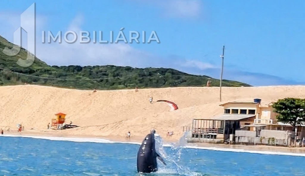 Apartamento para venda no Ingleses do Rio Vermelho em Florianopolis com 78,51m² por R$ 993.993,11