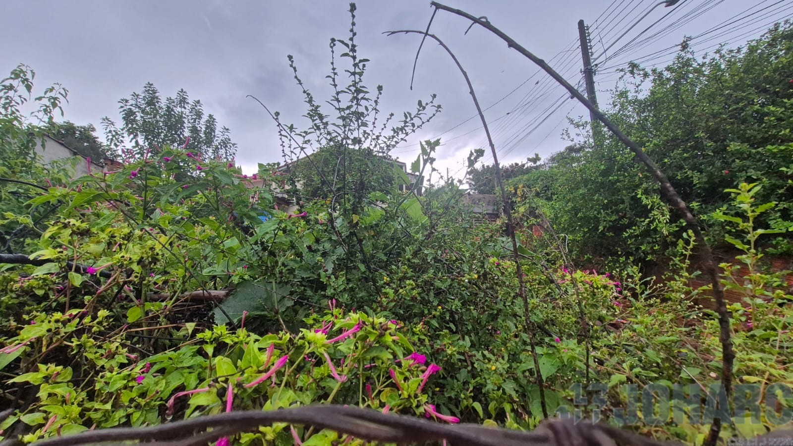 Terreno para venda no Centro em Apucarana com 180m² por R$ 145.000,00