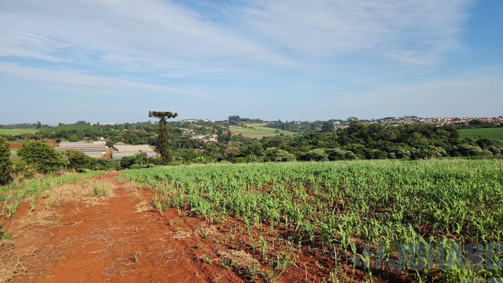 Chácara para venda no Loteamento Belvedere em Apucarana com 3.339,21m² por R$ 170.000,00