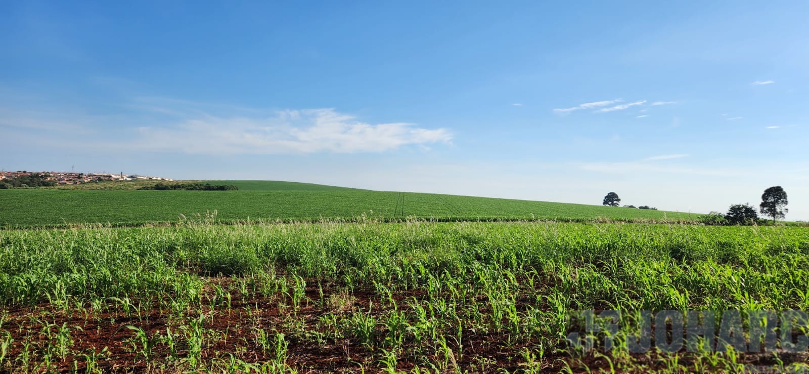 Chácara para venda no Loteamento Belvedere em Apucarana com 3.339,21m² por R$ 170.000,00