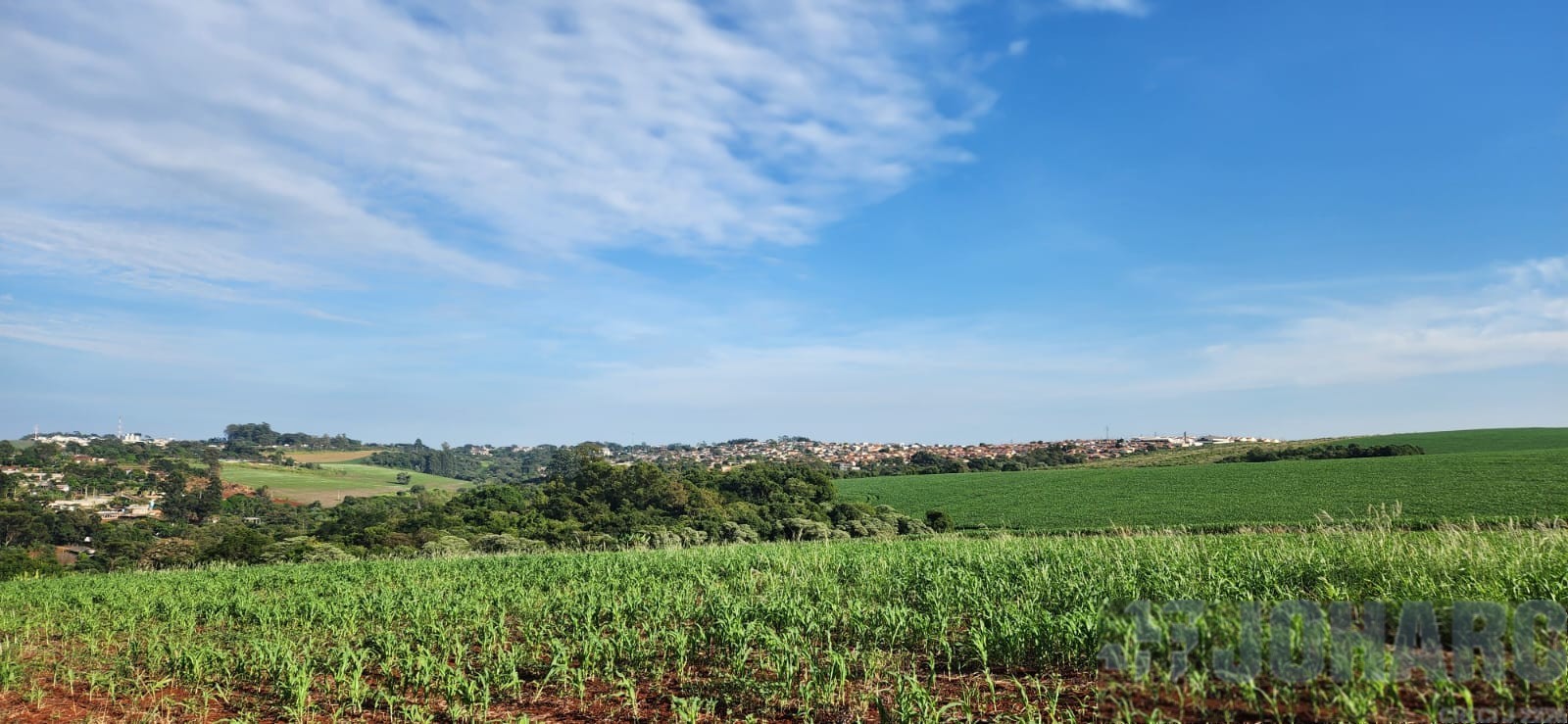 Chácara para venda no Loteamento Belvedere em Apucarana com 3.339,21m² por R$ 170.000,00