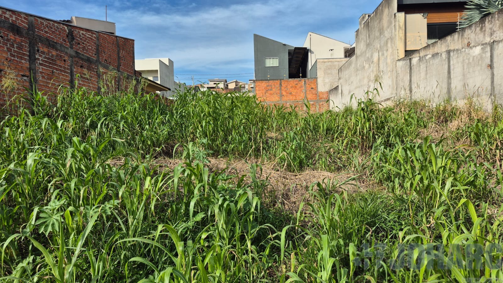 Terreno para venda no Loteamento Residencial Florais do L em Apucarana com 360,3m² por R$ 140.000,00