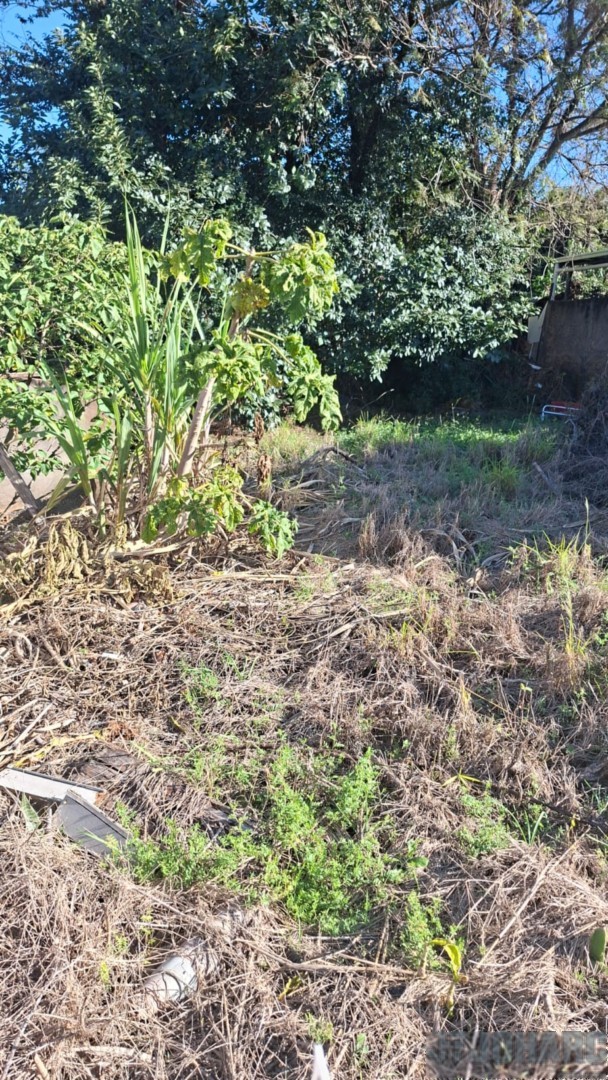 Terreno para venda no Vila Martins em Apucarana com 507m² por R$ 330.000,00