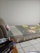 7cae4002-b30d-4995-b216-8d602364ae91.jpeg