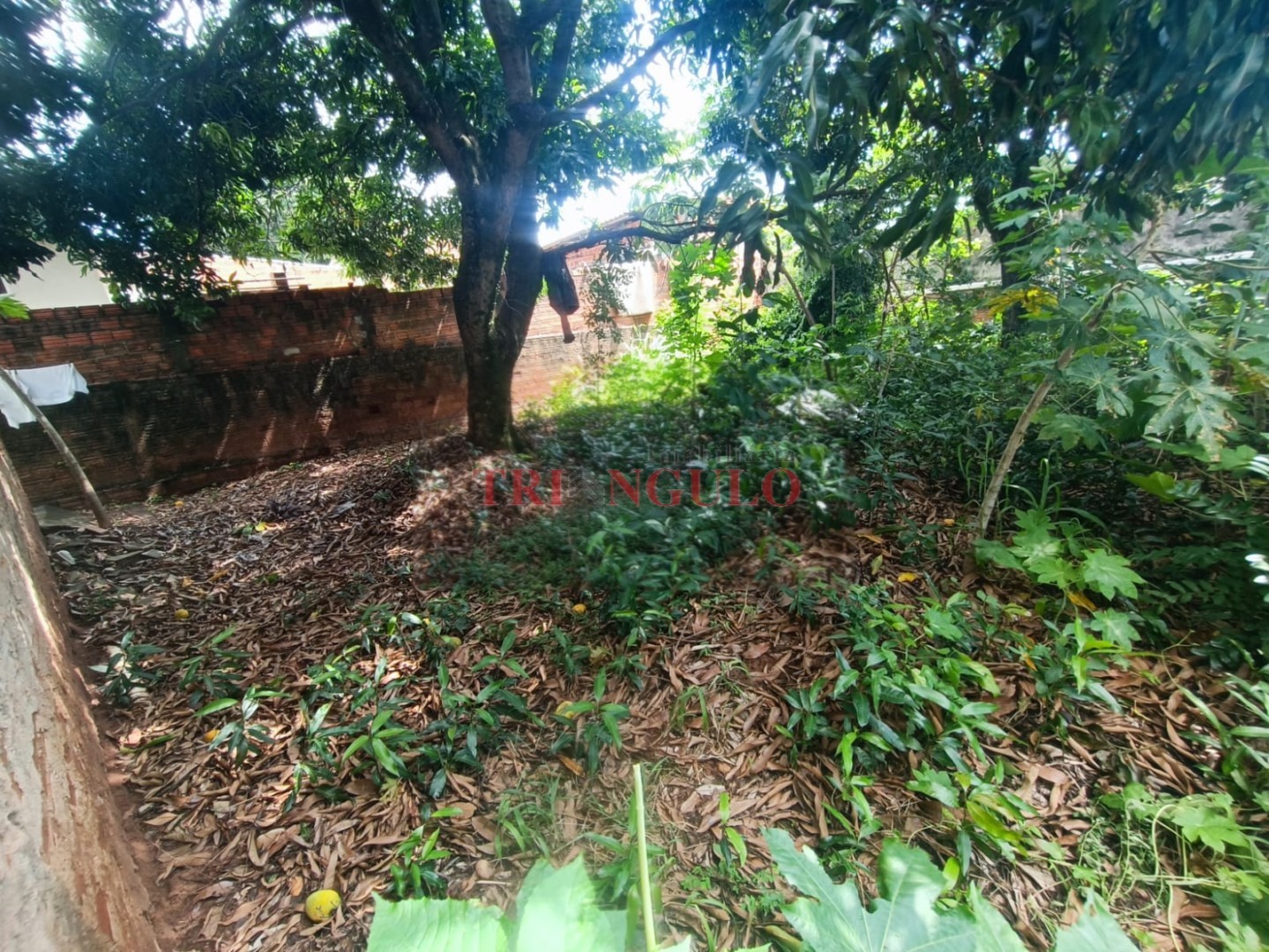 Terreno para venda no Parque San Marino em Umuarama com 270,4m² por R$ 66.000,00