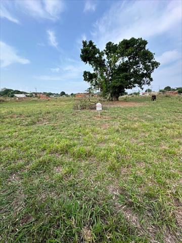Terreno para venda no Centro em Serra dos Dourados com 234m² por