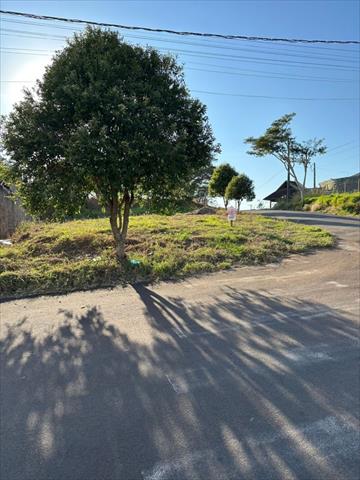 Terreno para venda no Jardim Pacifico em Umuarama com 236,9m² por
