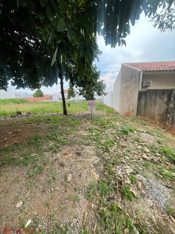 Terreno para venda no Parque Bandeirantes em Umuarama com 275m² por R$ 160.000,00