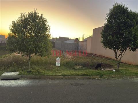 Terreno para venda no Jardim Colorado em Umuarama com 184m² por R$ 100.000,00