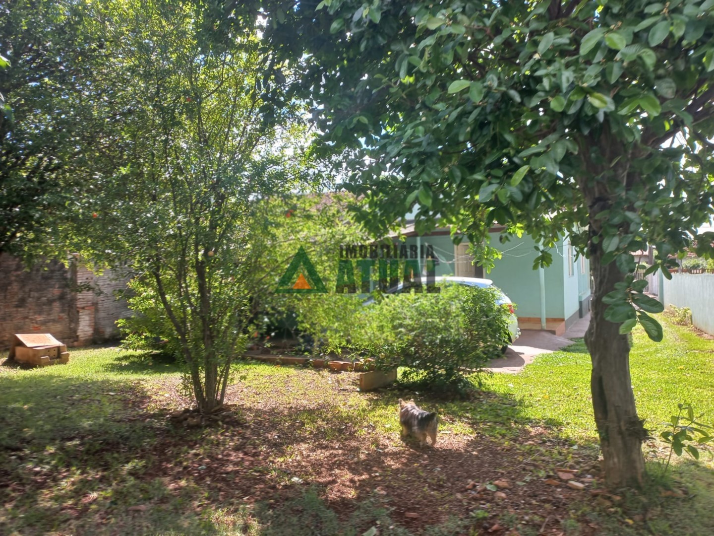 WhatsApp Image 2025-11-28 at 12.14.38 (9).jpeg