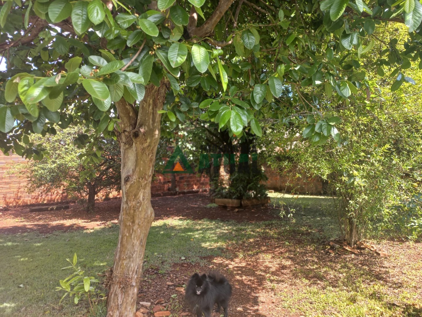 WhatsApp Image 2025-11-28 at 12.14.38 (11).jpeg