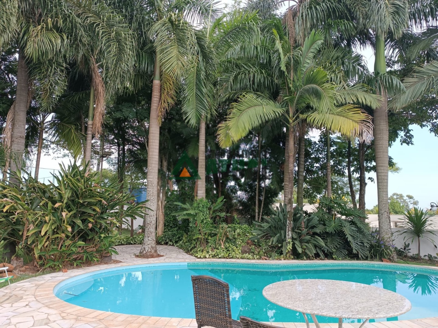 31.jfif
