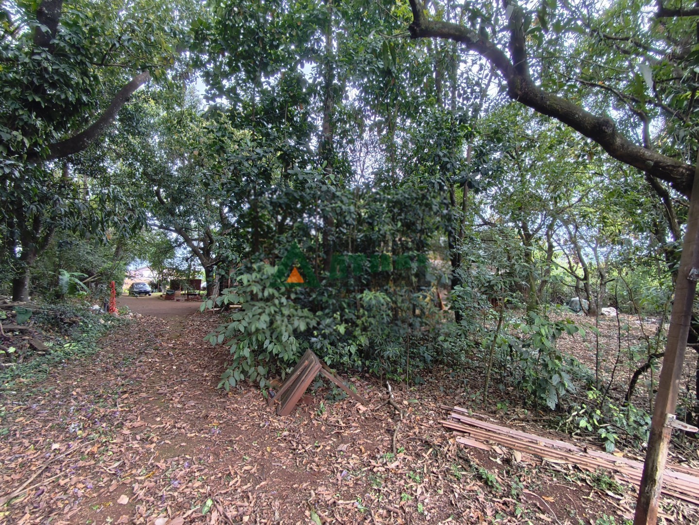 IMG_20260904_145027.jpg