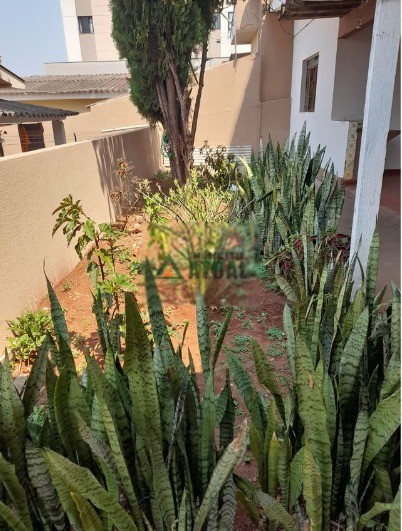 WhatsApp Image 2025-09-29 at 17.09.04.jpeg