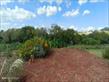 3.jfif