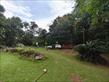 IMG_20260904_144617.jpg