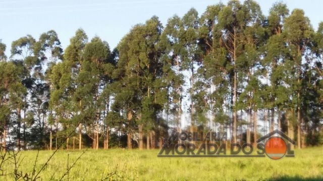 Sítio Rural para venda no Rodovia em Santa Fe com 10,7m² por R$ 3.300.000,00