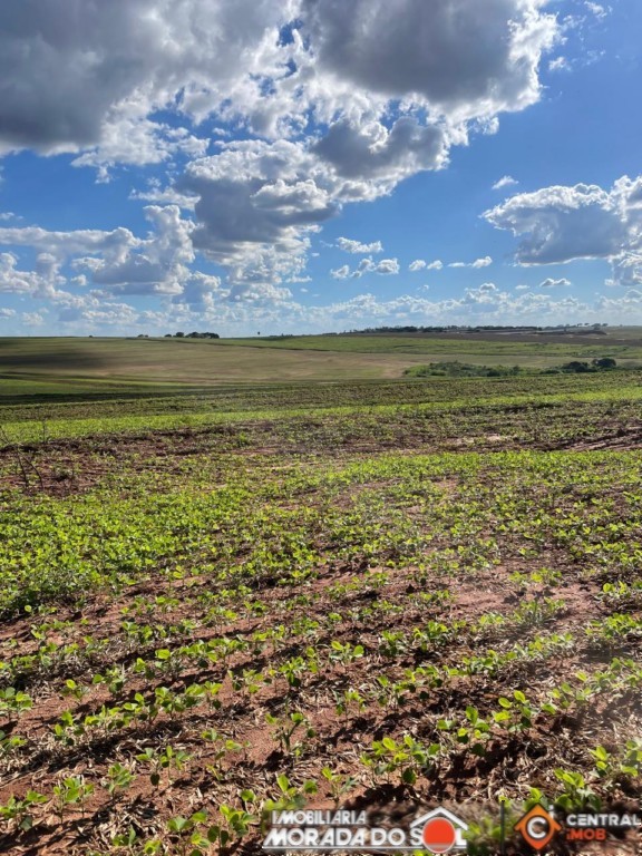 Sítio Rural para venda no Centro em Presidente Castelo Branco com 7,72m² por R$ 1.775.000,00