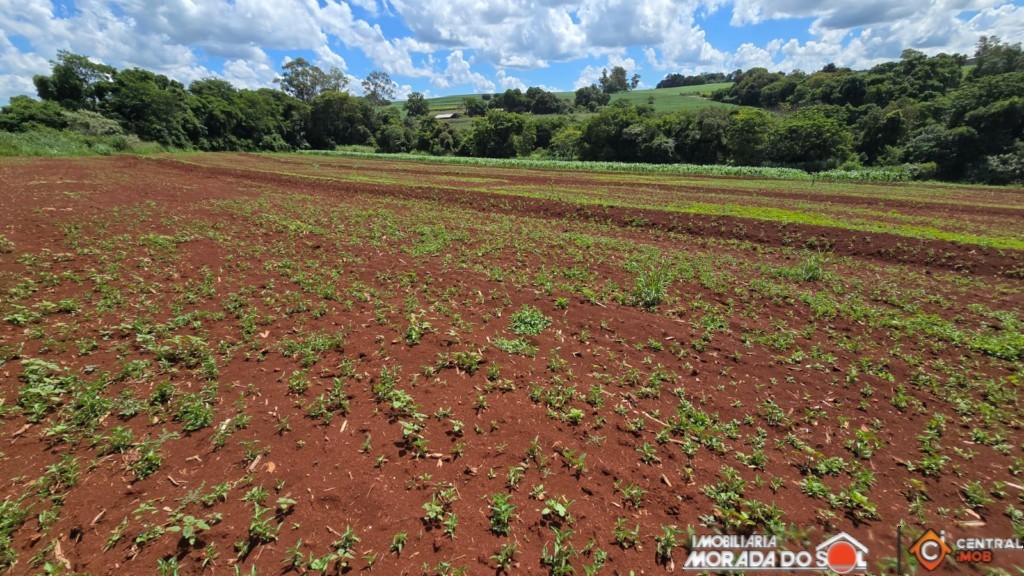 Área Rural para venda no Parque Residencial e Industrial San em Marialva com 37.000m² por R$ 3.000.000,00