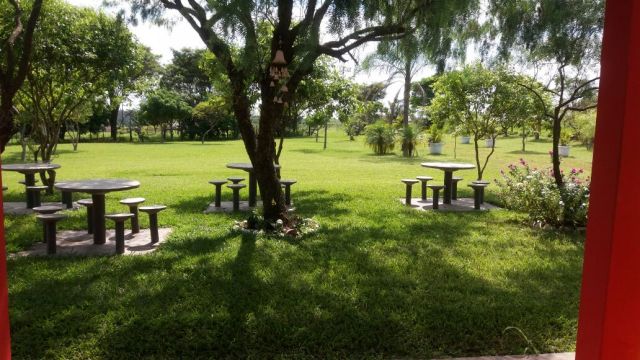 Sítio Rural para venda no bairro Estrada Santa Fé de Iguaraçu - Foto 8