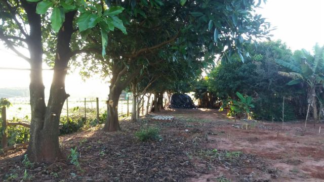 Sítio Rural para venda no bairro Estrada Santa Fé de Iguaraçu - Foto 12