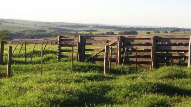 Sítio Rural para venda no bairro Estrada Santa Fé de Iguaraçu - Foto 16