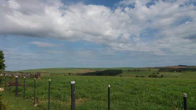 Sítio Rural para venda no bairro Estrada Santa Fé de Iguaraçu - Foto 17