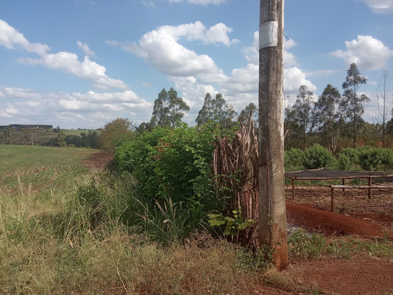 Chácara para venda no Conjunto Residencial Santa Terezinh em Maringá com 1m² por R$ 1.200.000,00