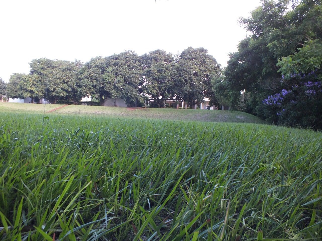 Chácara para venda no bairro Parque Industrial 200 de Maringá - Foto 10