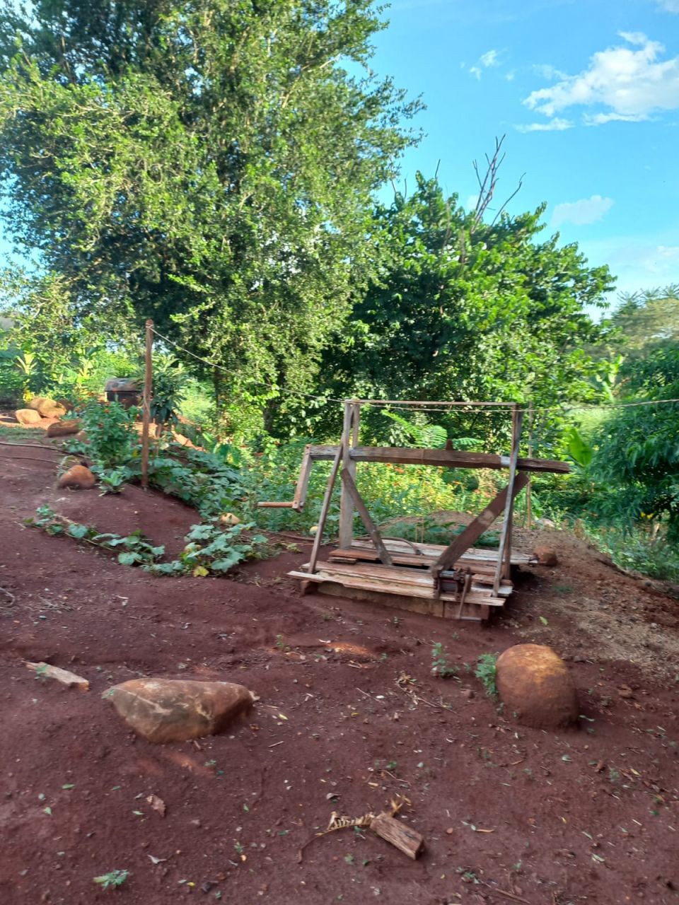 Chácara para venda no bairro Casa do Lago de Paiçandu - Foto 11