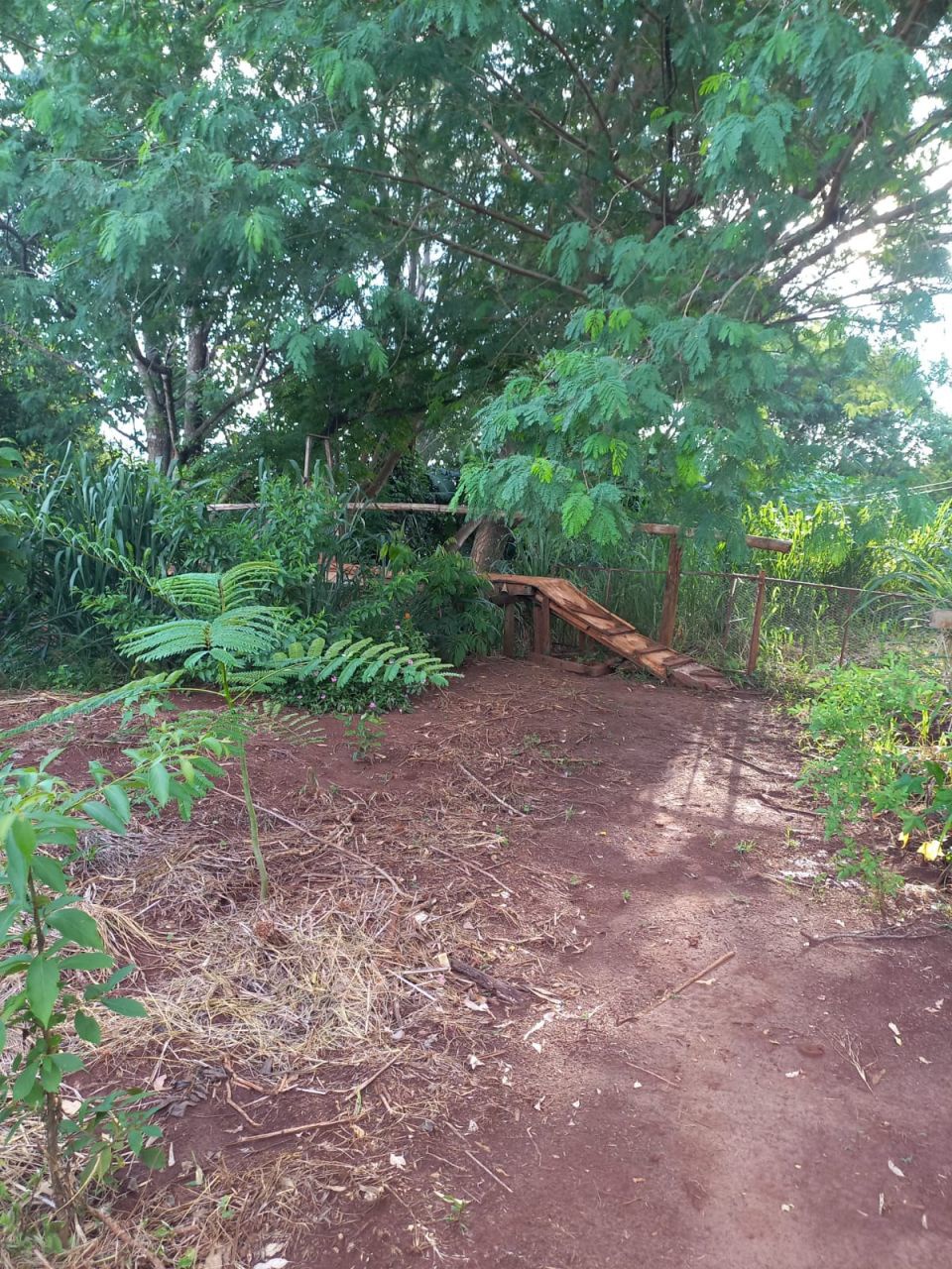 Chácara para venda no bairro Casa do Lago de Paiçandu - Foto 13